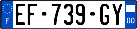 EF-739-GY