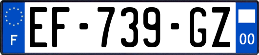 EF-739-GZ