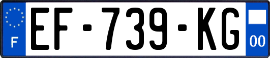 EF-739-KG