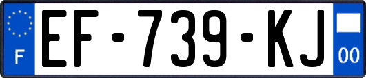 EF-739-KJ