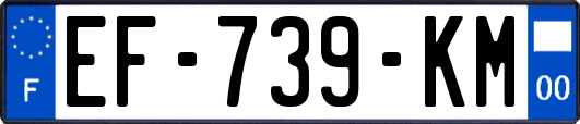 EF-739-KM