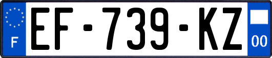 EF-739-KZ