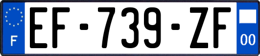 EF-739-ZF