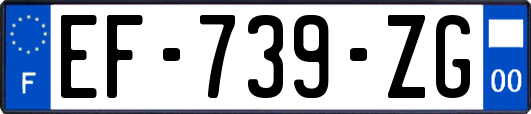EF-739-ZG