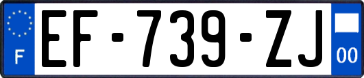 EF-739-ZJ