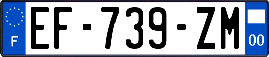 EF-739-ZM