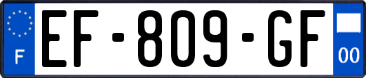 EF-809-GF
