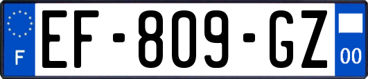 EF-809-GZ