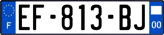 EF-813-BJ