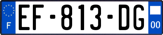 EF-813-DG