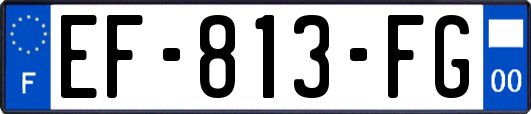 EF-813-FG