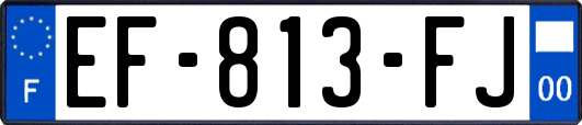 EF-813-FJ