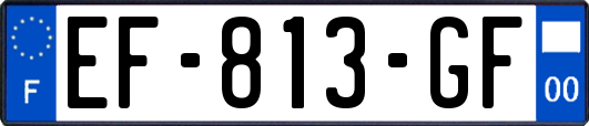 EF-813-GF