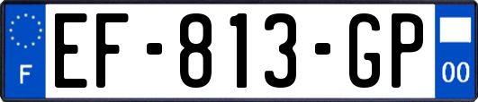 EF-813-GP