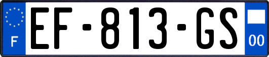 EF-813-GS