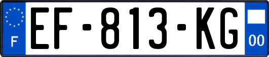 EF-813-KG