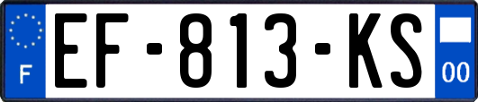 EF-813-KS