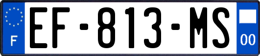 EF-813-MS