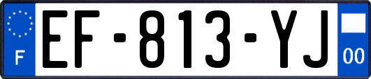 EF-813-YJ