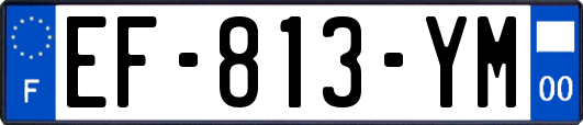 EF-813-YM