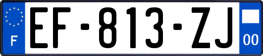 EF-813-ZJ