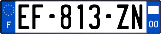 EF-813-ZN