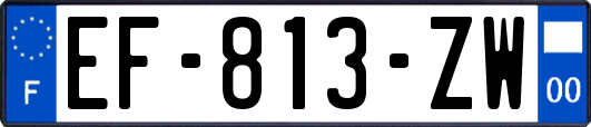 EF-813-ZW