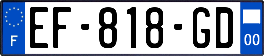 EF-818-GD