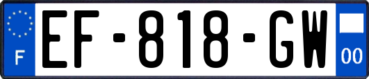EF-818-GW
