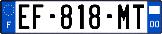 EF-818-MT