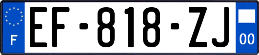 EF-818-ZJ