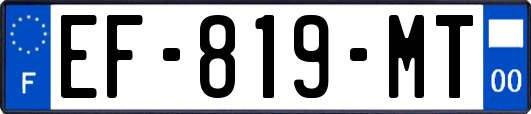EF-819-MT
