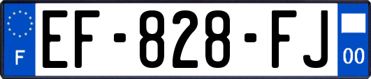EF-828-FJ