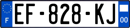 EF-828-KJ