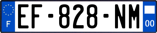 EF-828-NM
