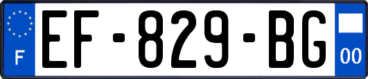 EF-829-BG