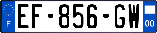 EF-856-GW