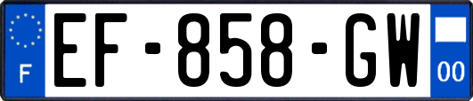 EF-858-GW