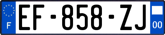 EF-858-ZJ