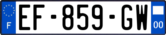 EF-859-GW
