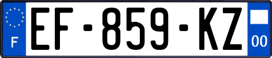 EF-859-KZ