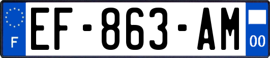 EF-863-AM