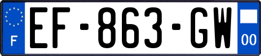 EF-863-GW