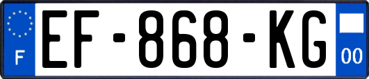 EF-868-KG