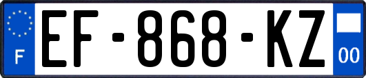 EF-868-KZ