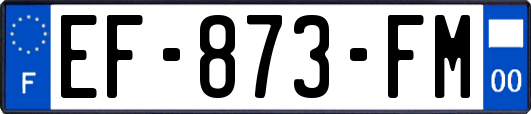 EF-873-FM