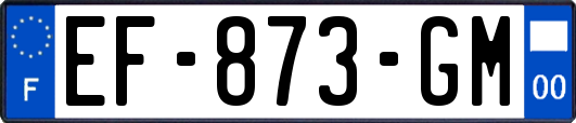 EF-873-GM
