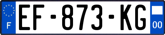 EF-873-KG