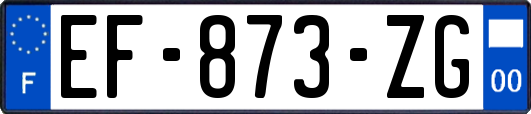 EF-873-ZG