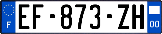 EF-873-ZH